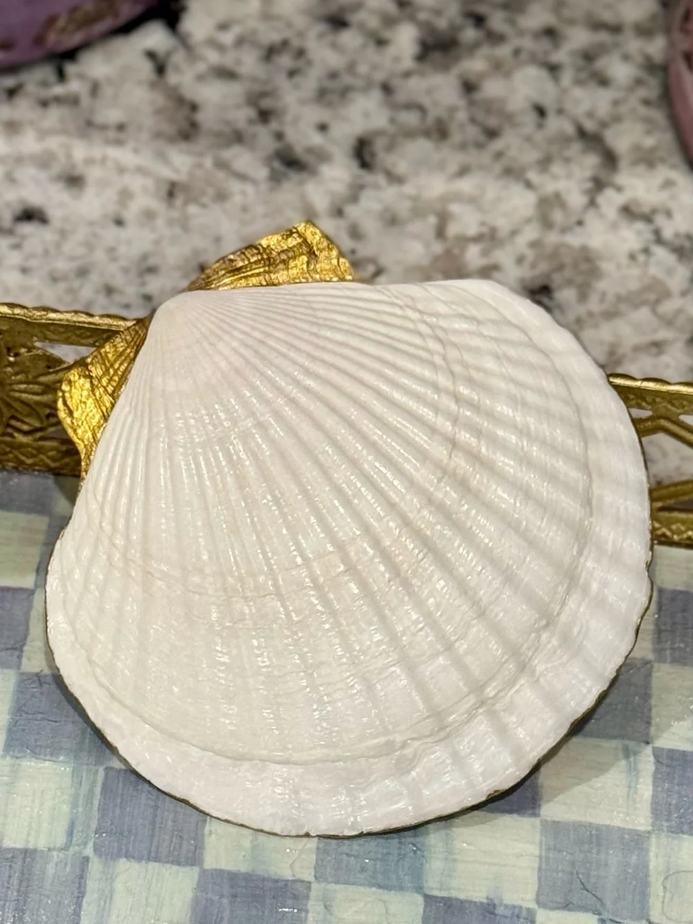 Hand crafted spider web and moth trinket shell dish 5”